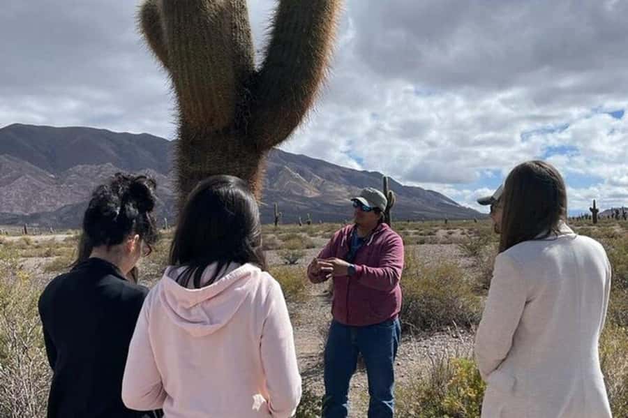 Day Trip to Cachi from Salta - The Quebrada de Escoipe and Cuesta del Obispo