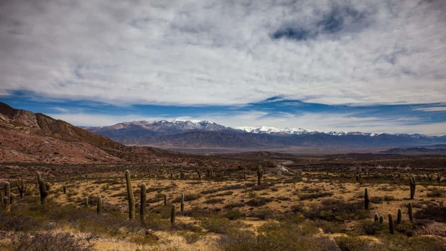 Day Trip to Cachi from Salta - Los Cardones National Park and the Recta de Tin-Tin