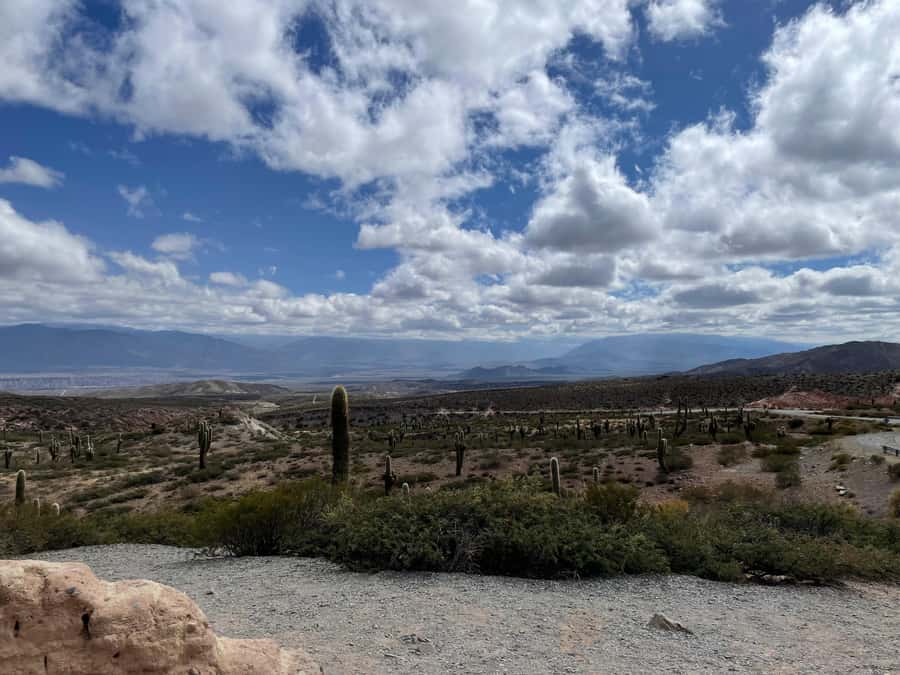 Day Trip to Cachi from Salta - The Archaeology Museum and Ancient Cultures