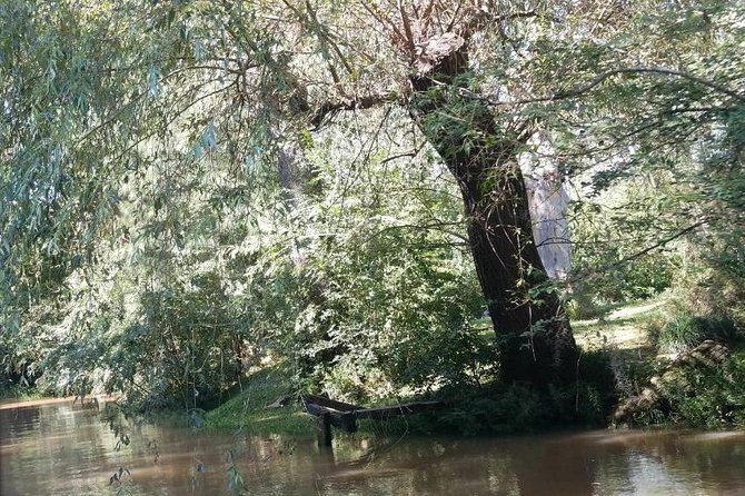 Day Trip to San Isidro and Tigre Delta Boat Tour - One hour on the Tigre Delta rivers