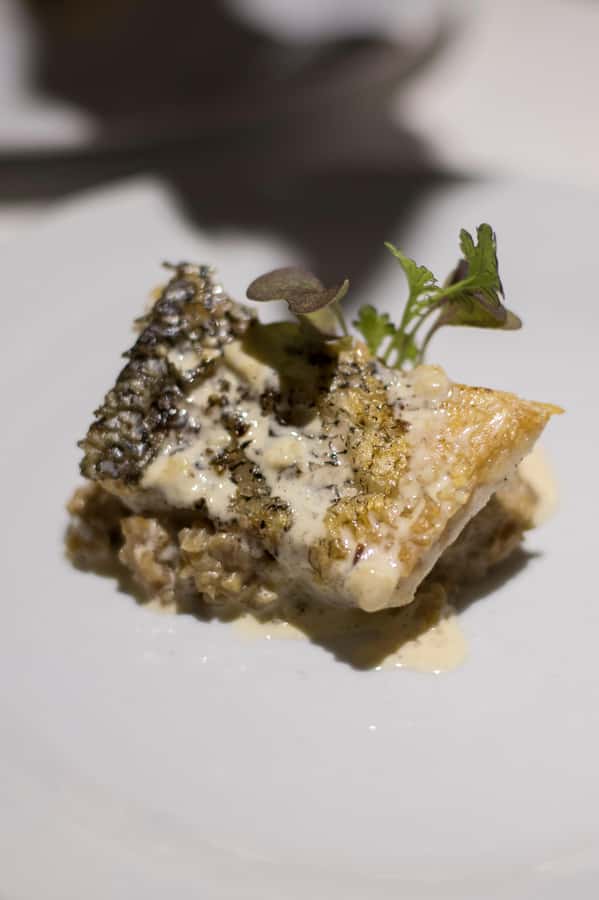 Discover a unique and immersive gastronomic experience - Is $130 a Fair Price?