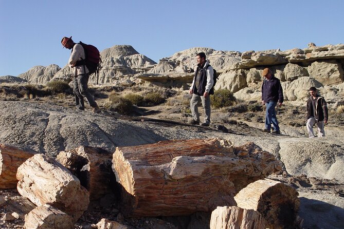 Discover La Leona Petrified Forest: Guided Hiking Tour - A short stop at historic Hotel La Leona