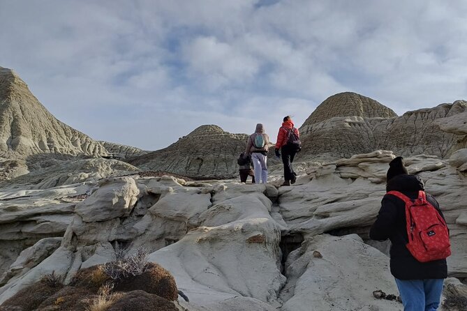 Discover La Leona Petrified Forest: Guided Hiking Tour - Who will enjoy the three-hour hike most