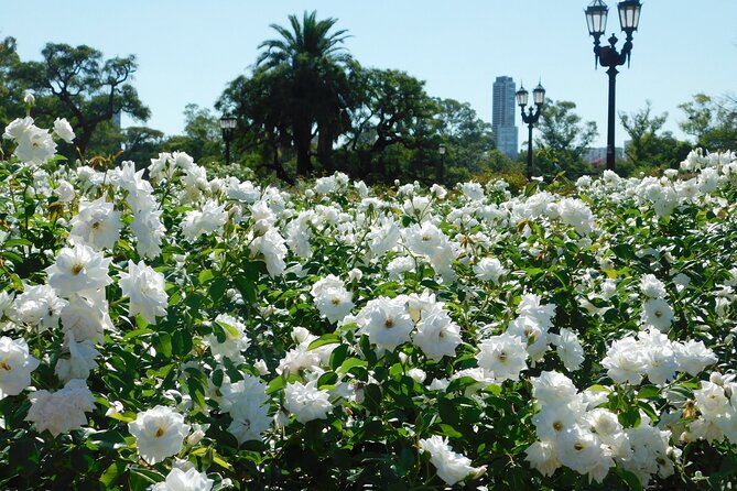 Discover nature at Buenos Aires city “The Palermo Woods” - One hour around the Lagos de Palermo