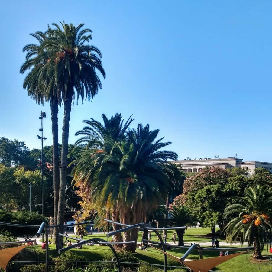 Discover Recoleta, Buenos Aires' Little Paris - What the guide adds to the experience