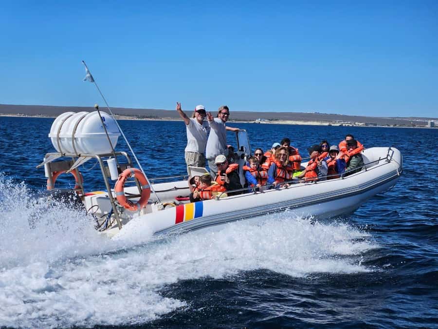 Dolphin Watching Adventure - Key points to know before booking