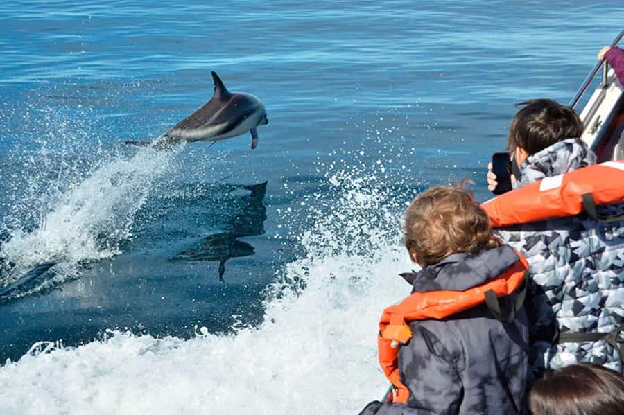 Dolphin Watching Adventure - Setting out from Luis Piedra Buena Pier