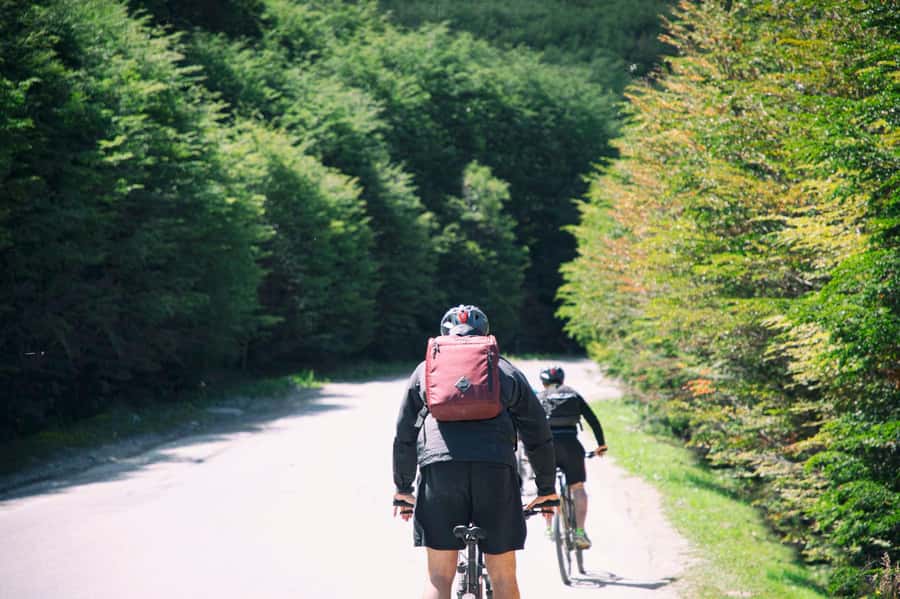 E-BIKE Beagle Viewpoint - Why this ride feels different from a standard Ushuaia tour