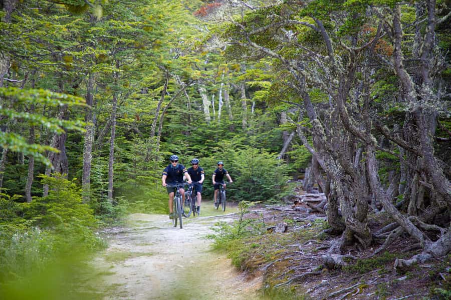 E-BIKE Beagle Viewpoint - Following Buena Esperanza stream into the forest