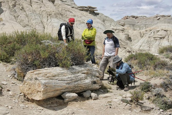 El Calafate: Day Trip to the spectacular Petrified Forest La Leona - A brief stop at historic Hotel La Leona