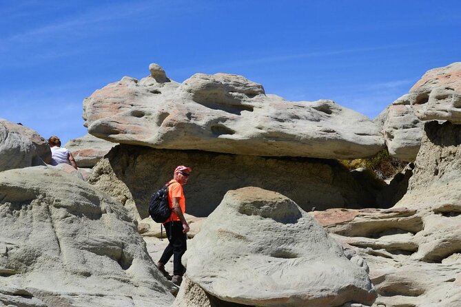 El Calafate: Day Trip to the spectacular Petrified Forest La Leona - Is $234 a fair price?