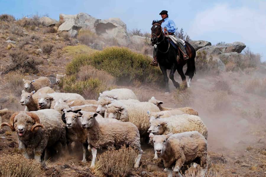 El Calafate: Estancia 25 de Mayo Tour with Dinner & Transfer - A short ride from El Calafate to ranch country