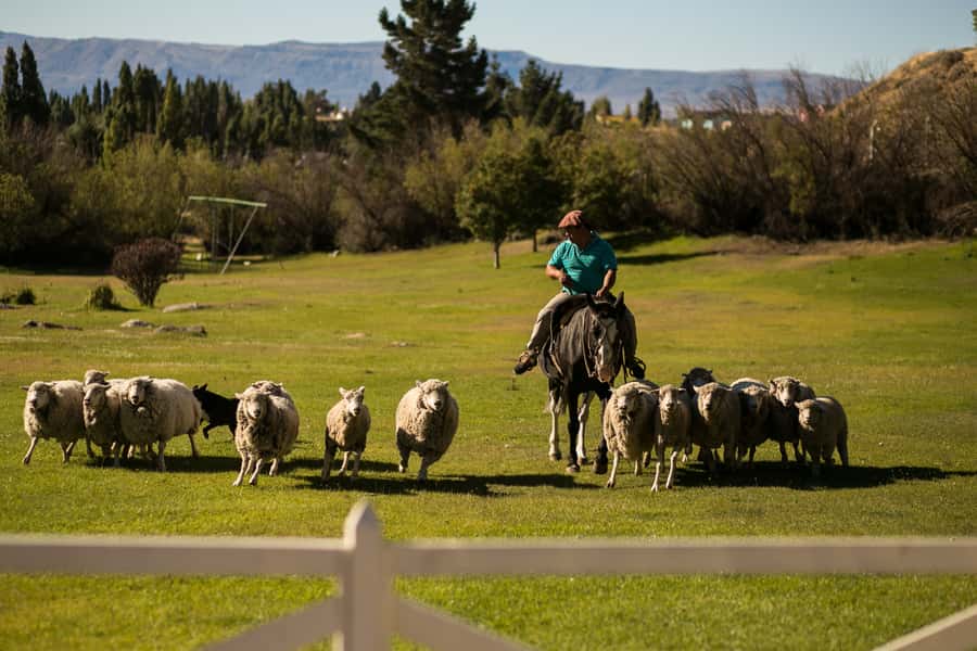 El Calafate: Estancia 25 de Mayo Tour with Dinner & Transfer - The organic garden behind the evening meal