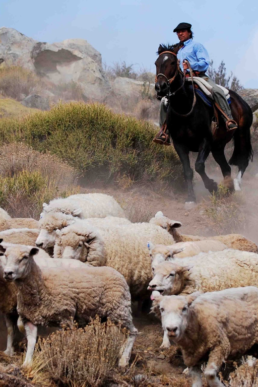 El Calafate: Estancia 25 de Mayo Tour with Dinner & Transfer - Who will enjoy this estancia most