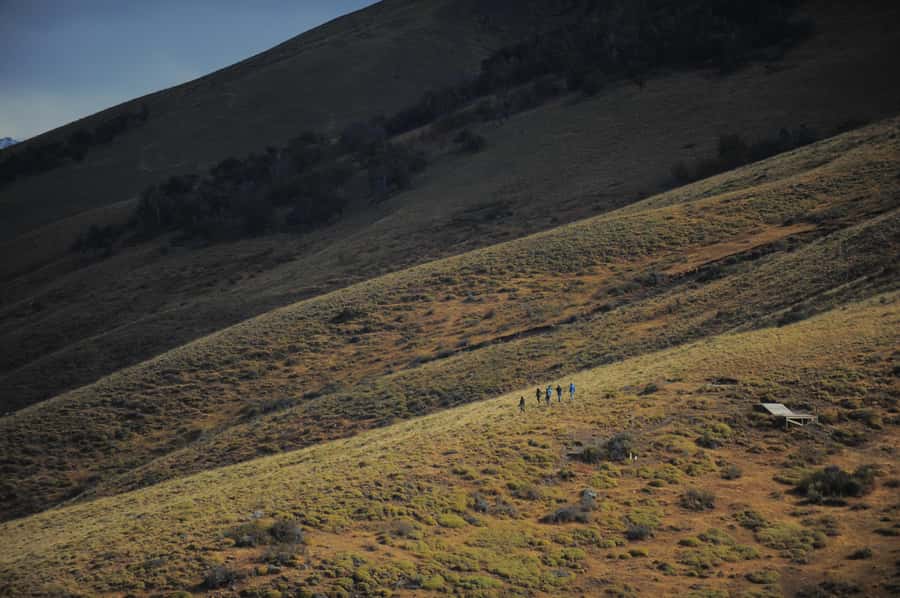 El Calafate: Horseback riding in Cerro Frias - Key points before you book