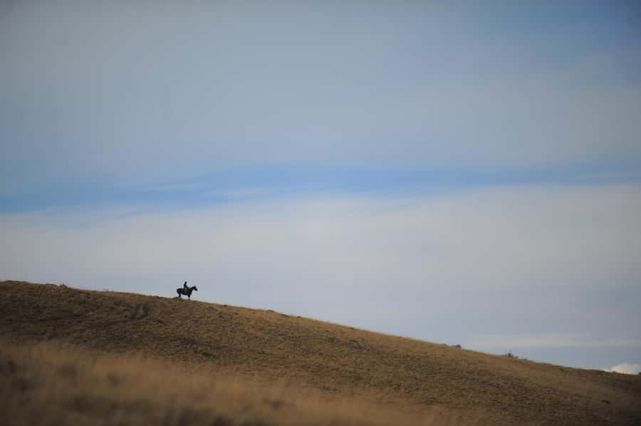El Calafate: Horseback riding in Cerro Frias - Descending through the lenga forest