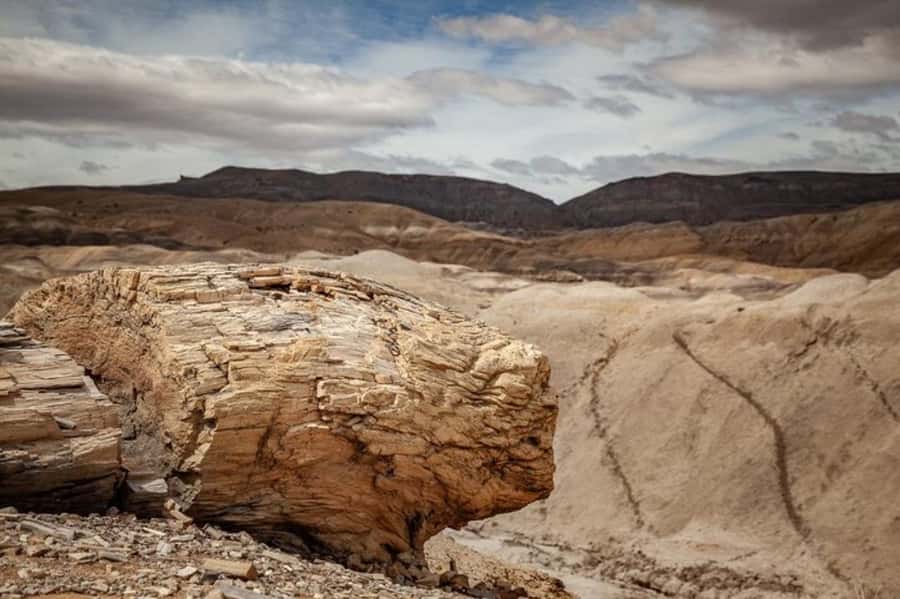 El Calafate: Kayak and Hike La Leona River Tour - Getting ready for open-air Patagonia