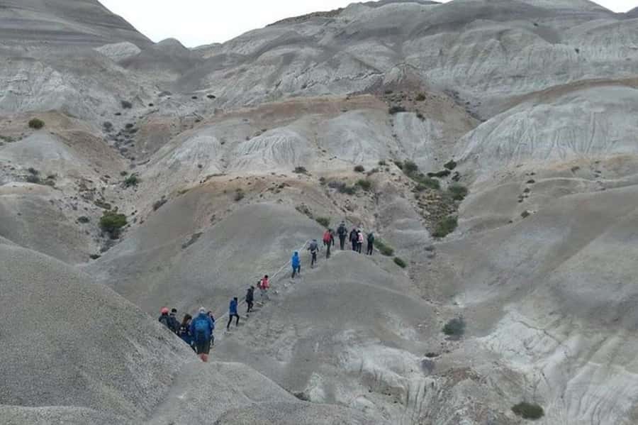 El Calafate: La Leona Petrified Forest & Fossils Trek - Key points at a glance