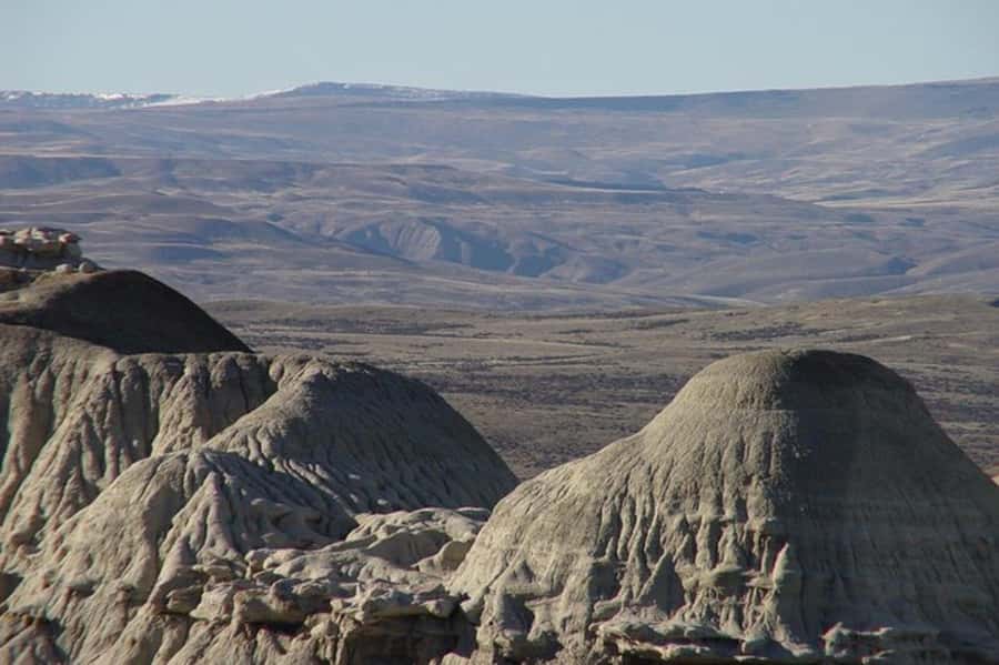 El Calafate: La Leona Petrified Forest & Fossils Trek - Why La Leona is worth the long ride