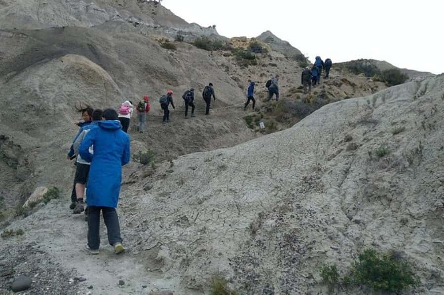 El Calafate: La Leona Petrified Forest & Fossils Trek - Four hours among fossilized trees