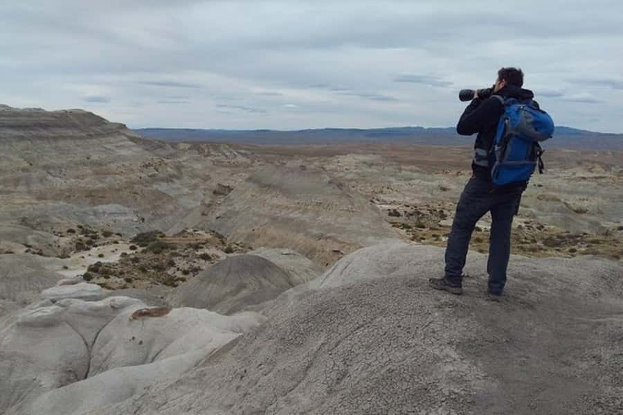 El Calafate: La Leona Petrified Forest & Fossils Trek - A box lunch in the open country