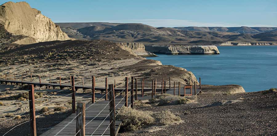El Calafate: Monte León 4x4 Wolves and Penguins Excursion - Five things to know before you go