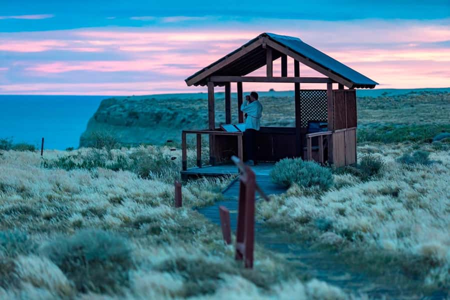 El Calafate: Monte León 4x4 Wolves and Penguins Excursion - Why Monte León is worth the long ride