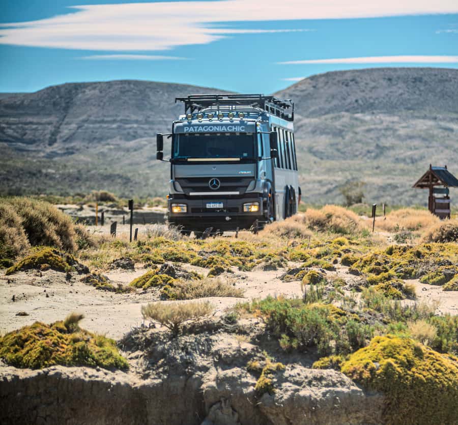 El Calafate: Monte León 4x4 Wolves and Penguins Excursion - What lunch and the $250 price really cover