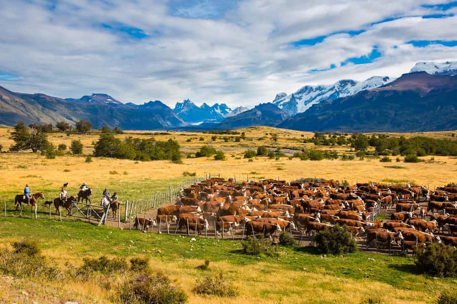 El Calafate: Nibepo Aike Ranch with Horseback Riding - Key points to know before booking