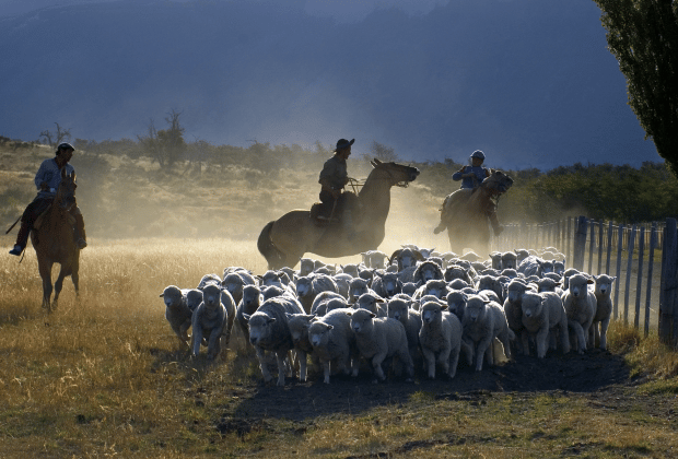 El Calafate: Nibepo Aike Ranch with Horseback Riding - Should you book Nibepo Aike?
