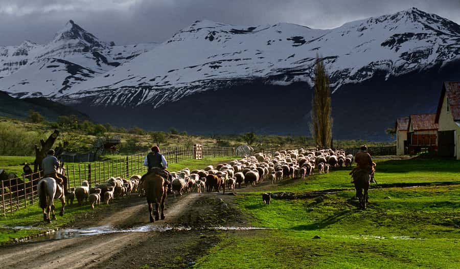 El Calafate: Nibepo Aike Ranch with Horseback Riding - From sheep shearing to Hereford cattle