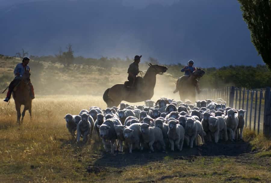 El Calafate: Nibepo Aike Ranch with Horseback Riding - Why the lamb asado matters