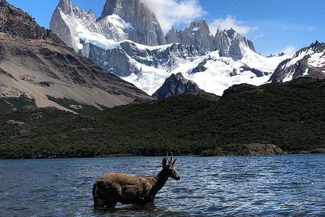 El Chalten Full Day & Free Trek from El Calafate - What the self-guided format really means