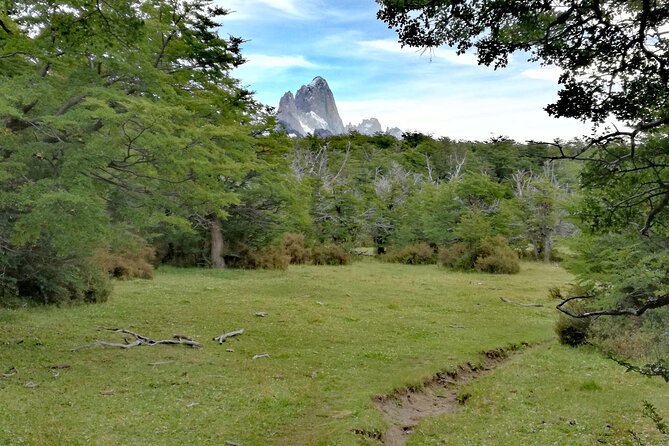 El Chalten: Full Day Trekking to Loma del Pliegue Tumbado - The viewpoint over Fitz Roy and Torre
