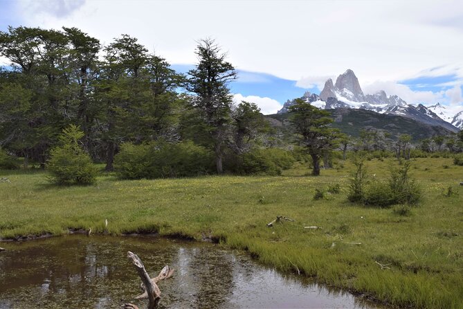 El Chalten: Full Day Trekking to Loma del Pliegue Tumbado - The guide and small-group advantage