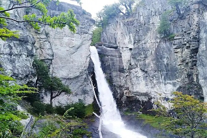 El Chalten guided tour from El Calafate - Chorrillo del Salto and a gentler second walk