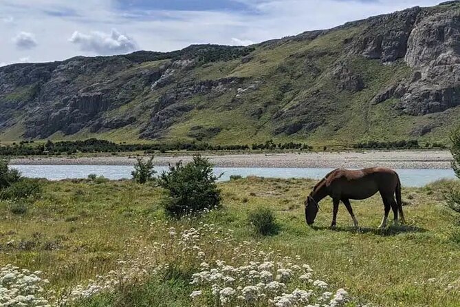 El Chalten guided tour from El Calafate - The return to El Calafate