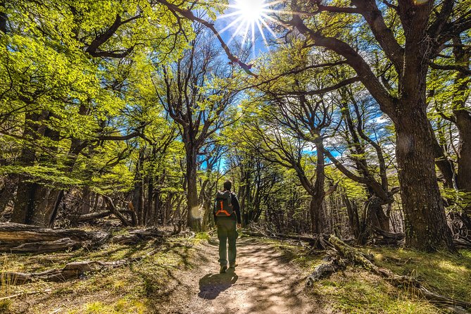El Chaltén with Trekking from El Calafate - Mirador de los Cóndores and the first uphill walk