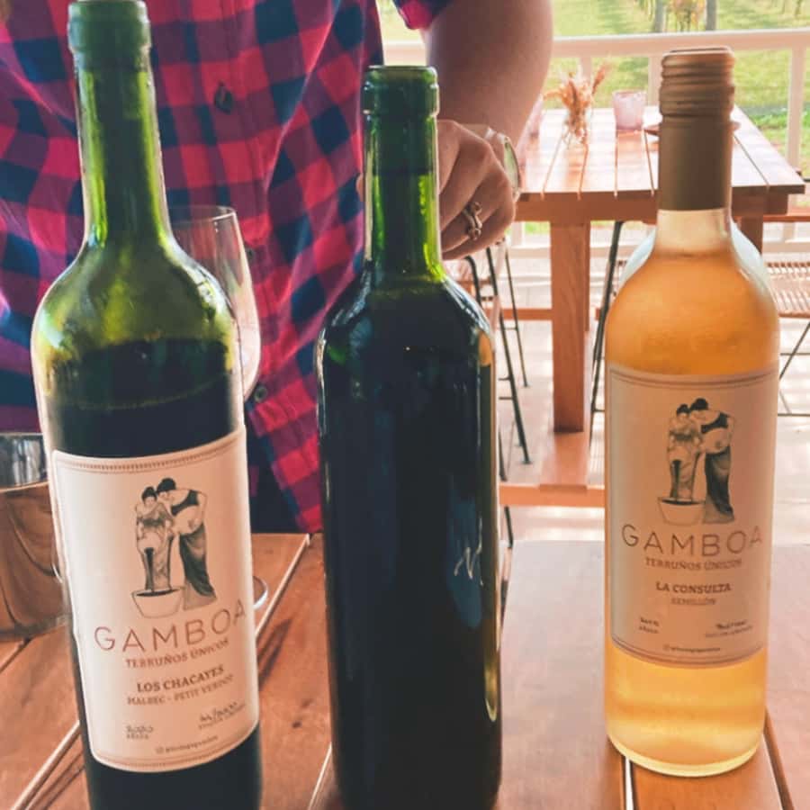 Enjoy a Rural Experience in a Vineyard near Buenos Aires - From Buenos Aires to Campana by Private Vehicle