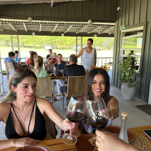 Enjoy a Rural Experience in a Vineyard near Buenos Aires - A Four-Course Lunch at the Countryside Restaurant