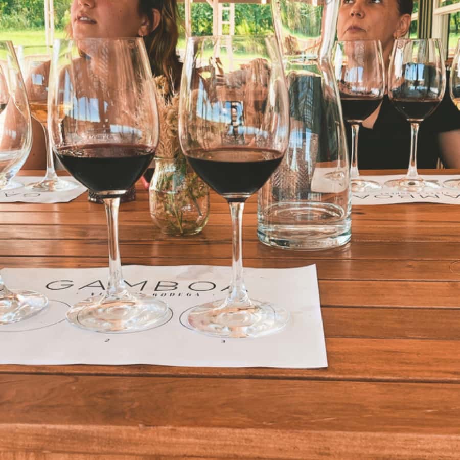 Enjoy a Rural Experience in a Vineyard near Buenos Aires - What the $264 Price Includes