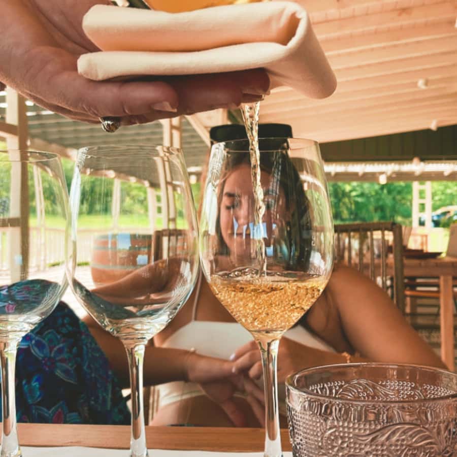 Enjoy a Rural Experience in a Vineyard near Buenos Aires - Booking, Payment, and Cancellation Details