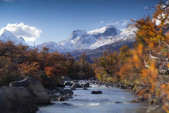 Enjoy the full day in El Chalten - Key points to know before booking