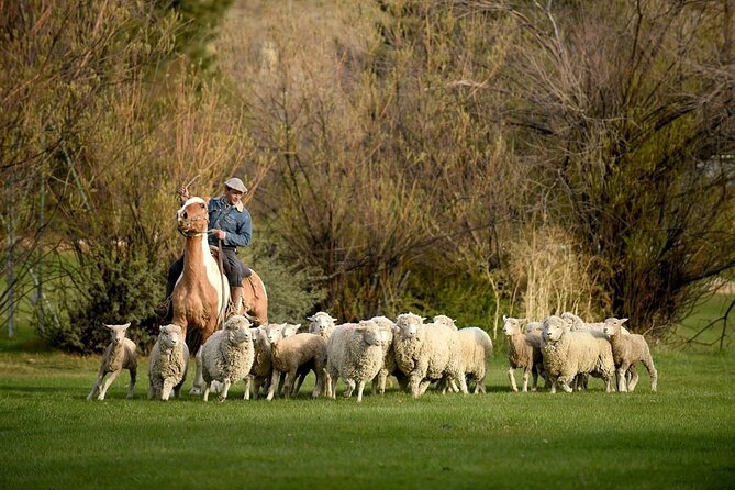 Estancia 25 de Mayo Experience with Dinner and Horseback Riding - Getting There From El Calafate