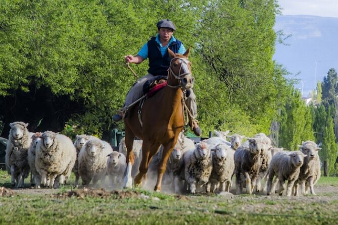 Estancia 25 de Mayo Experience with Dinner and Horseback Riding - Horseback Riding: What You Should Confirm