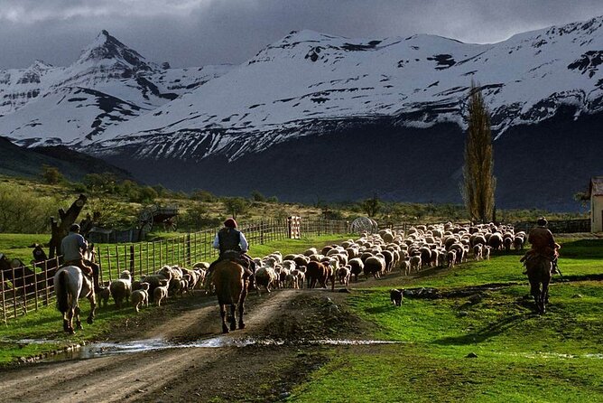 Estancia 25 de Mayo Experience with Dinner and Horseback Riding - The Show and the Social Side of the Evening