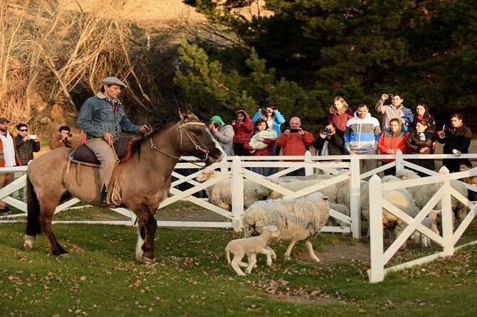 Estancia 25 de Mayo Experience with Dinner and Horseback Riding - How the Price Measures Up at $210