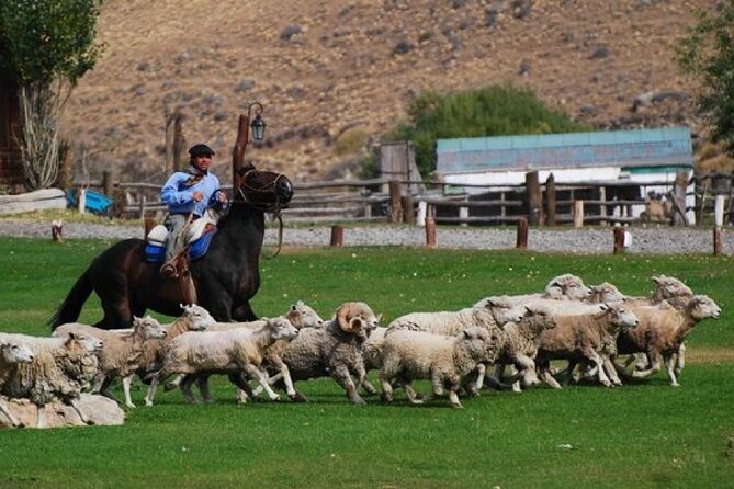 Estancia 25 de Mayo Experience with Dinner and Horseback Riding - Who Should Book This Estancia Visit?
