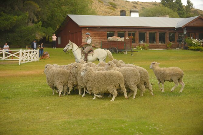 Estancia 25 de Mayo in El Calafate - PM visit with dinner - The stream walk and the open-air machines museum