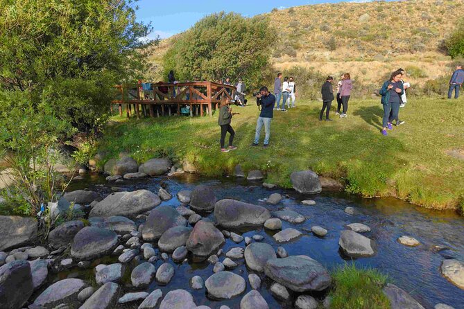 Estancia 25 de Mayo in El Calafate - PM visit with dinner - Wool production and the business of ranching